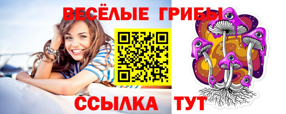 Алексеевка  Псилоцибиновые грибы мицелий  наркота  Вход с VPN 