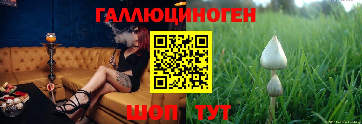 Галлюциногенные грибы Psilocybine cubensis Алексеевка